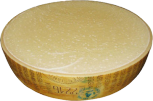 parmigiano